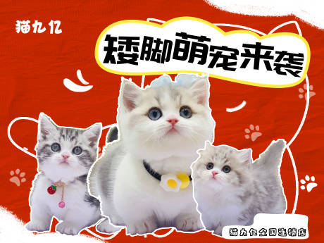 源文件下载【享设计】搜索编号：72630026514862365【宠物海报】