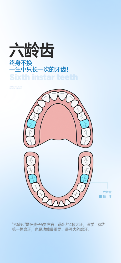 源文件下载【六龄齿科普海报】编号：10990026316012913