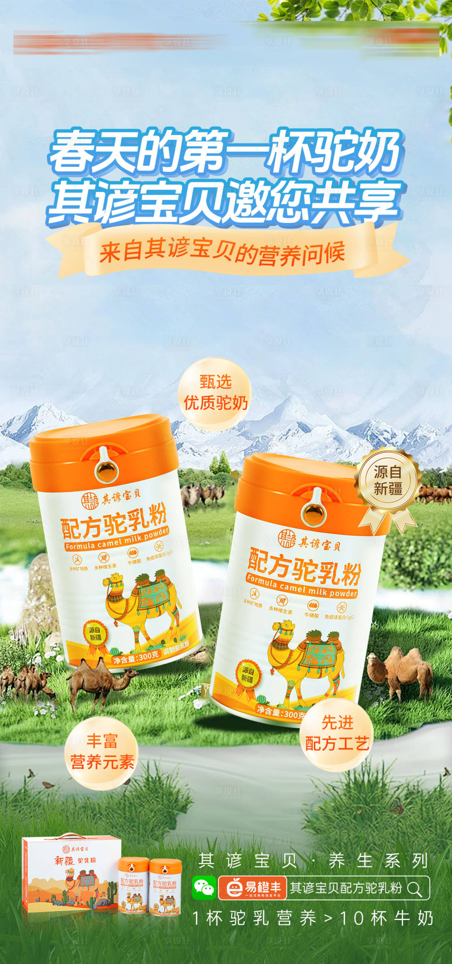 源文件下载【驼乳粉宣传海报】编号：38390026502615744