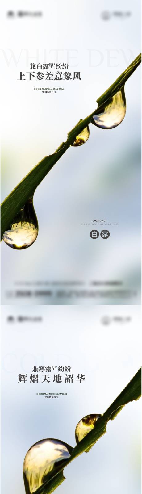 源文件下載【白露寒露節(jié)氣海報】編號：62960026080668106