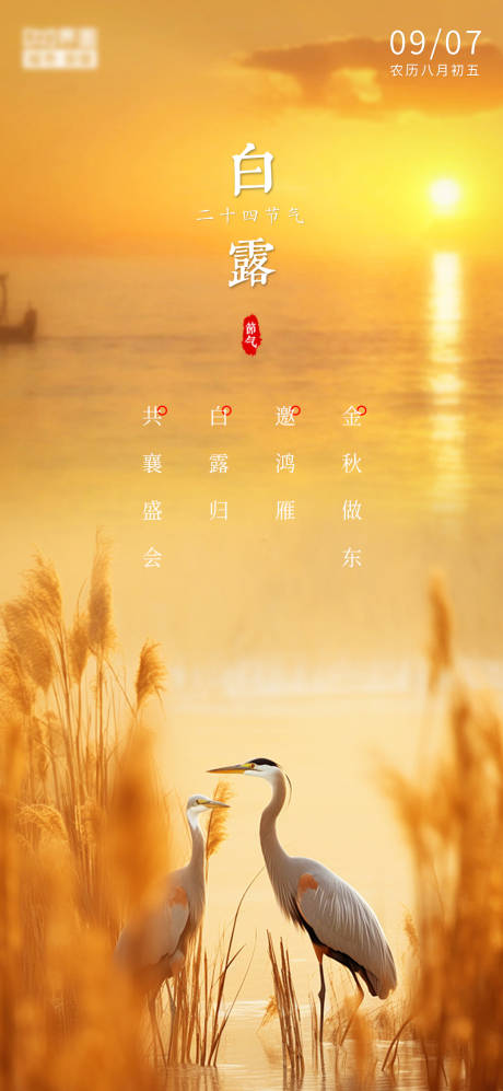 源文件下载【享设计】搜索编号：73280026056424164【地产白露海报】