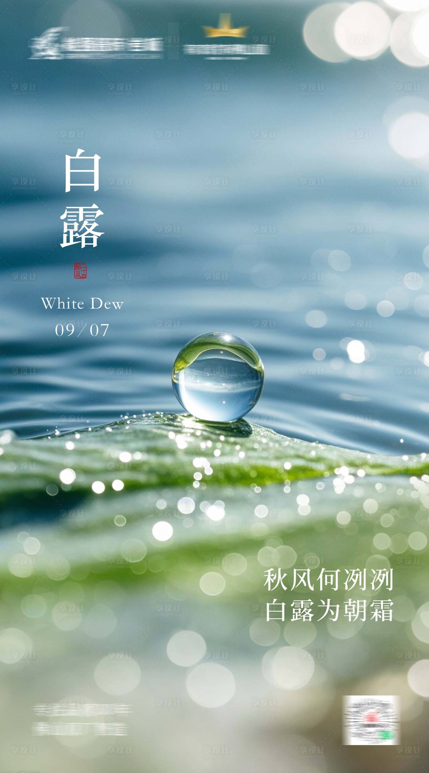 源文件下載【白露海報(bào)】編號(hào)：34450026132478202
