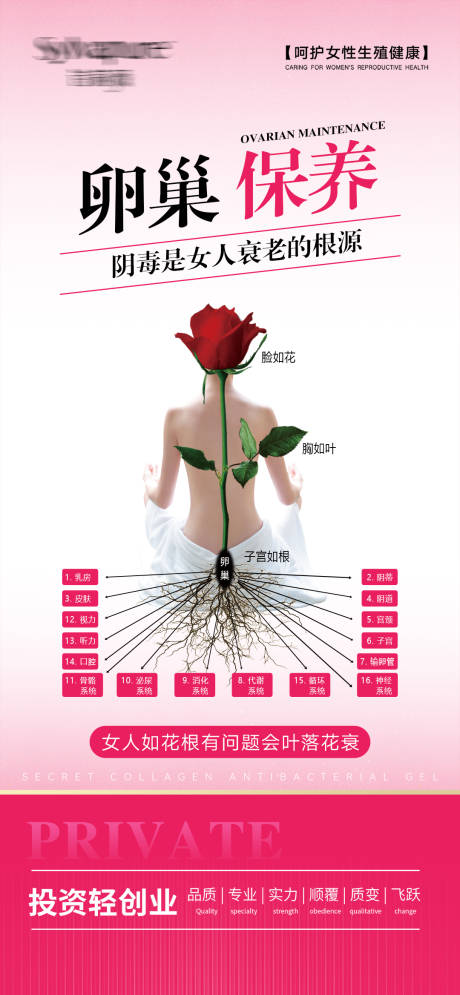 源文件下載【享設計】搜索編號：16300026384394568【私密私護養護科普海報】