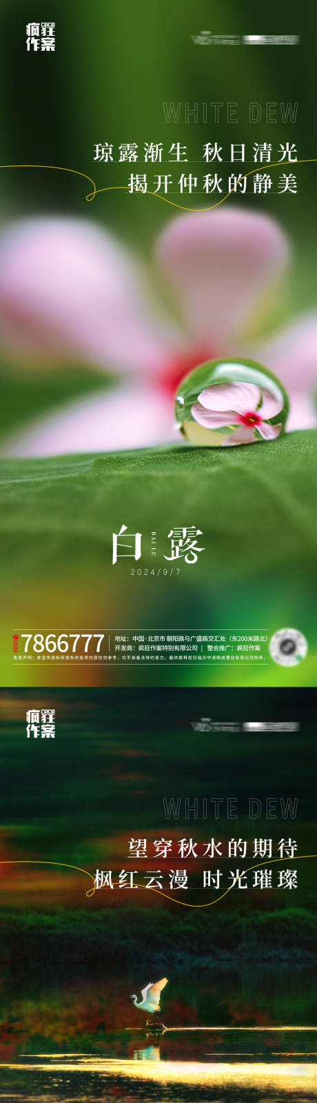 源文件下载【白露节气海报】编号：67440026043982824