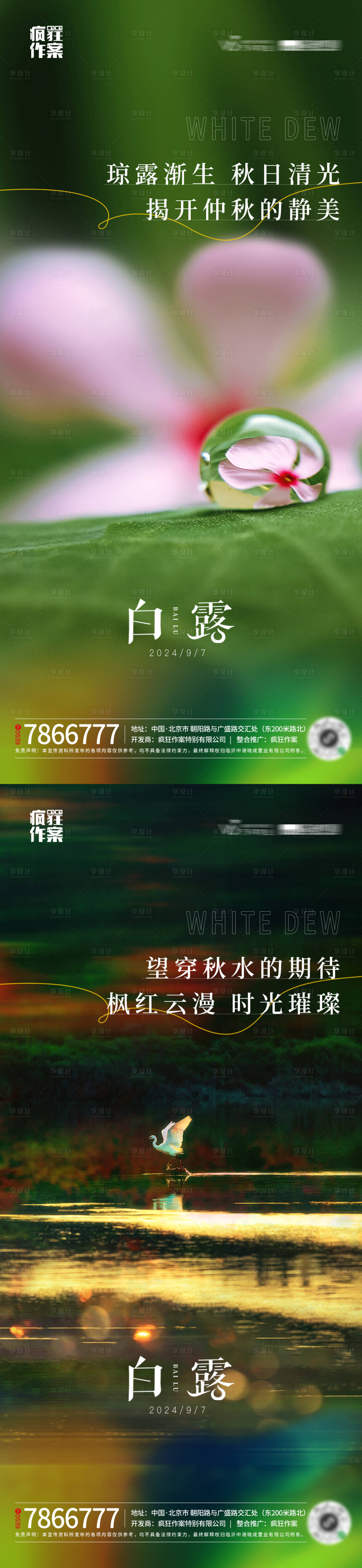 源文件下载【白露节气海报】编号：67440026043982824