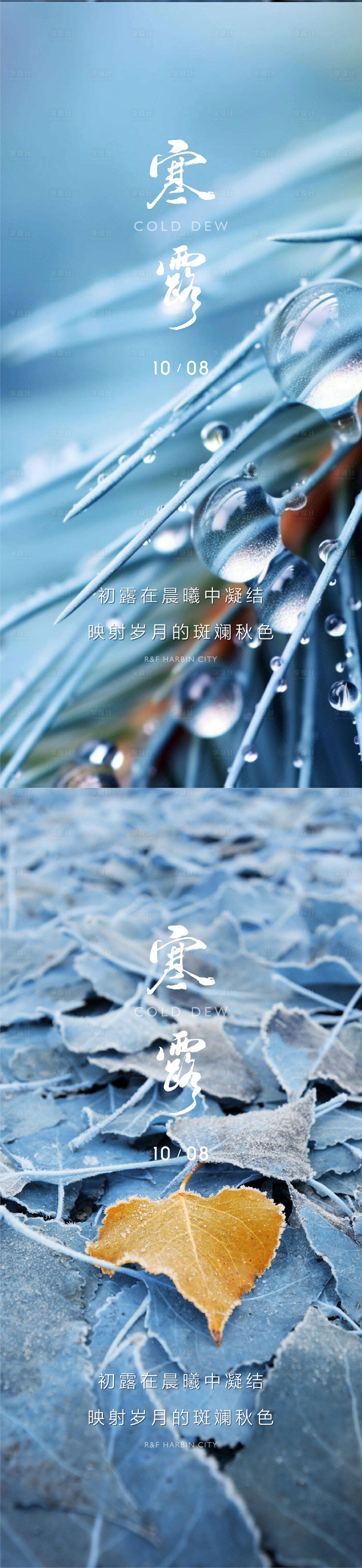 源文件下载【寒露白露雨水霜降小寒大寒】编号：17120026413705101