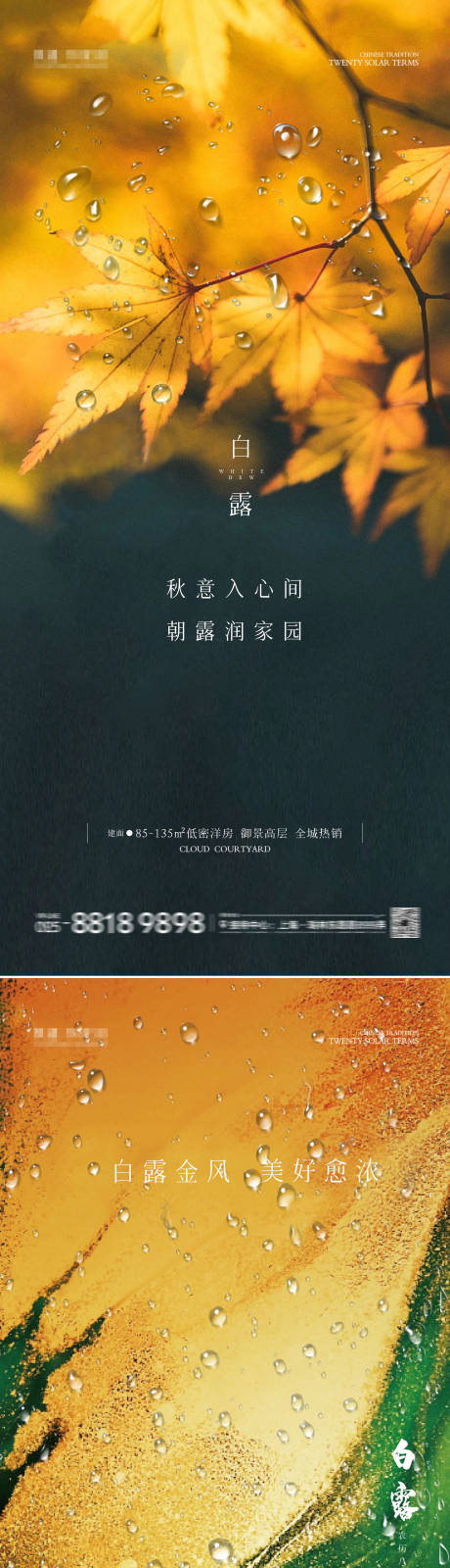 源文件下载【白露海报】编号：58800026022422657