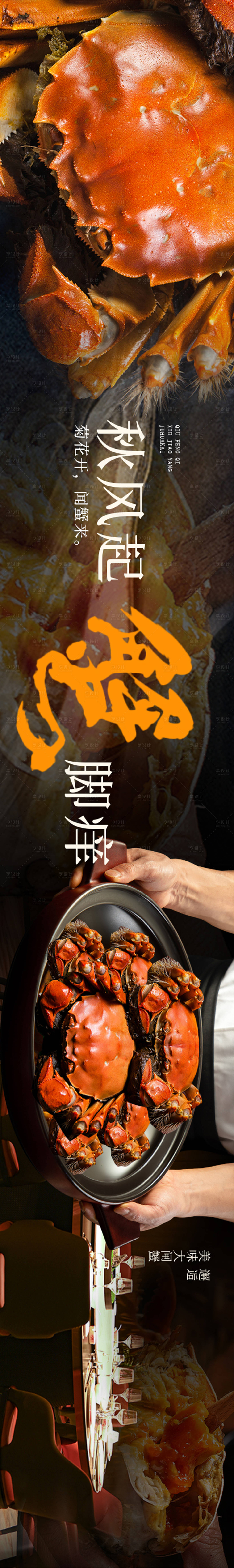 源文件下载【螃蟹大闸蟹点评五图】编号：33660026345302309