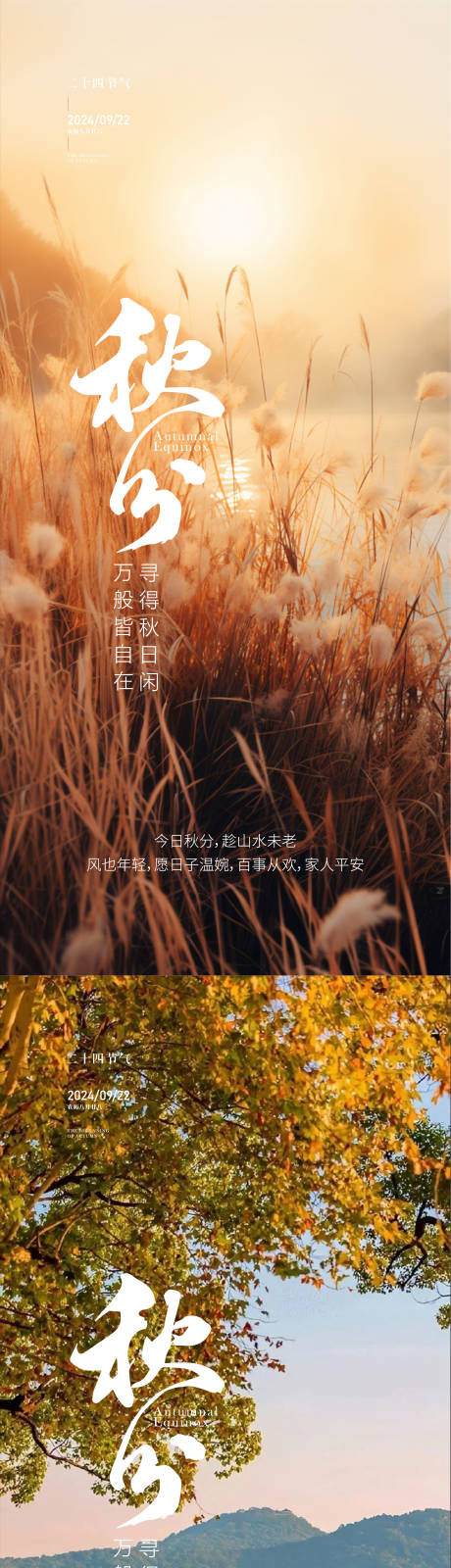 源文件下載【秋分海報】編號：22120026268753053