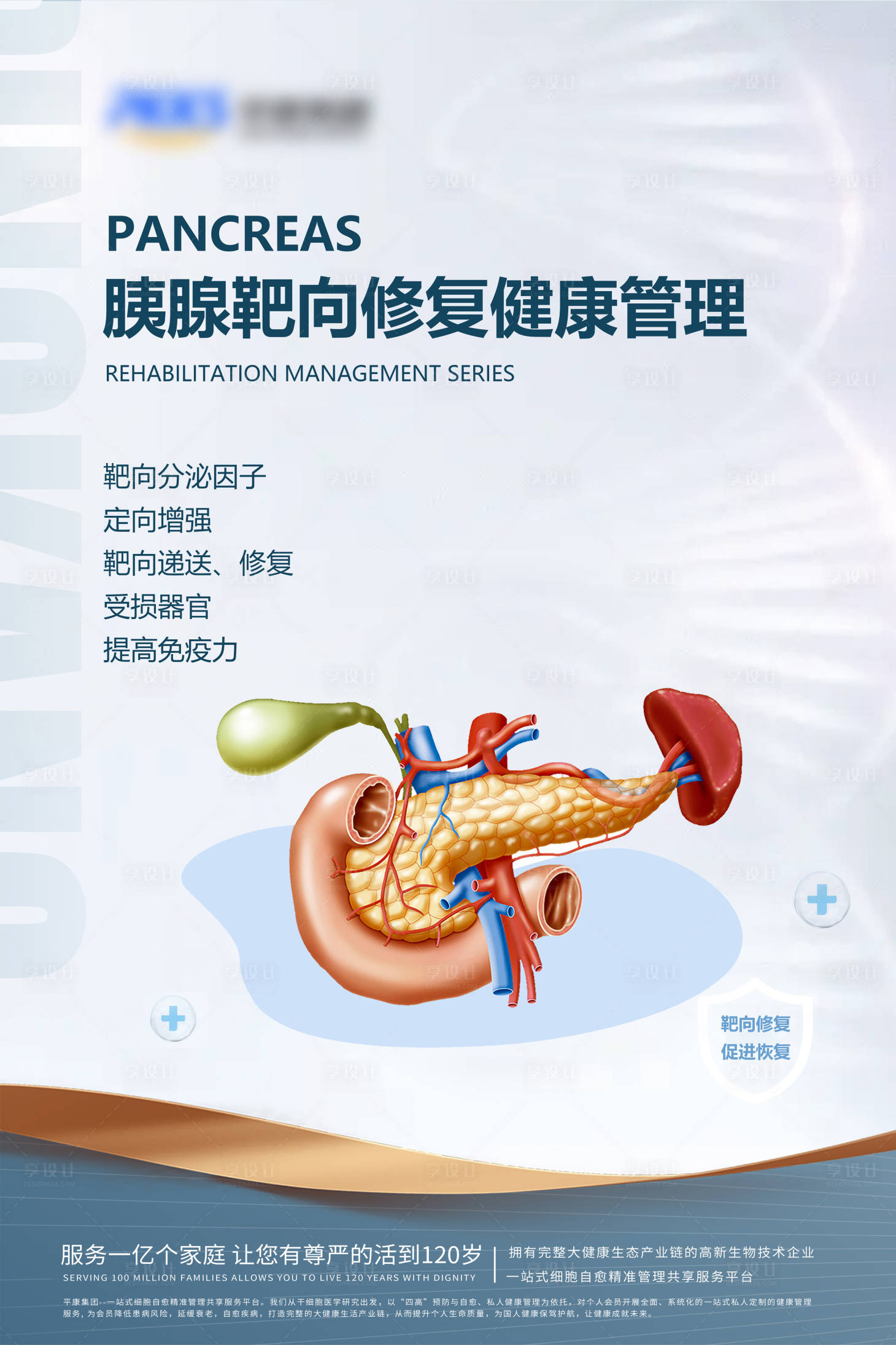 源文件下载【胰腺修复管理海报】编号：32310026515999604
