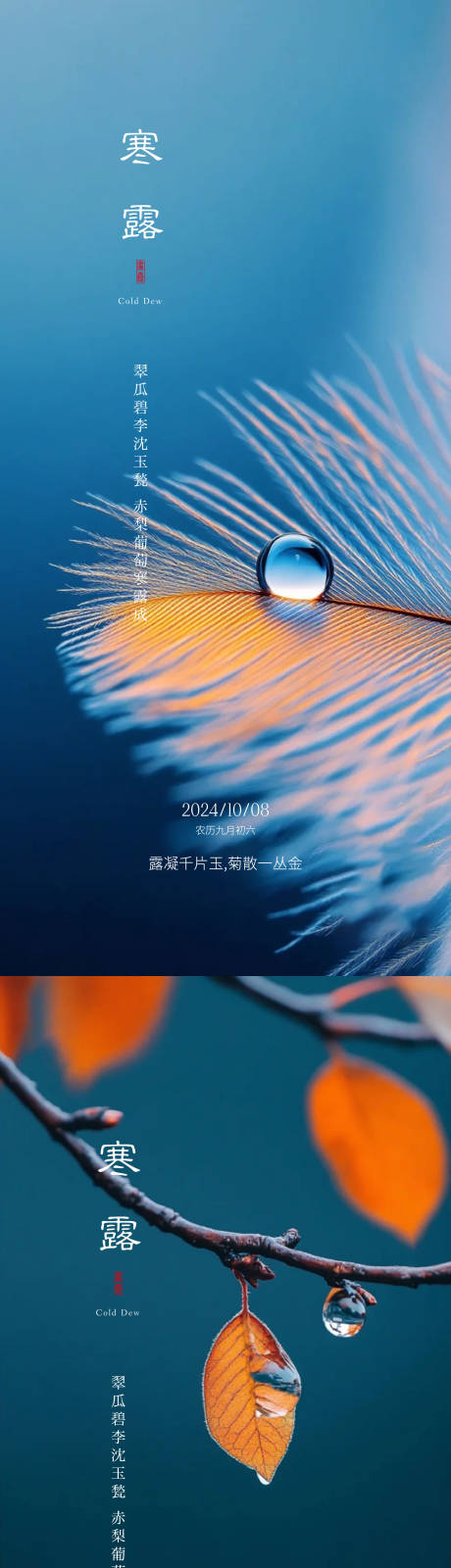 源文件下載【享設計】搜索編號：33060026410174348【寒露海報】