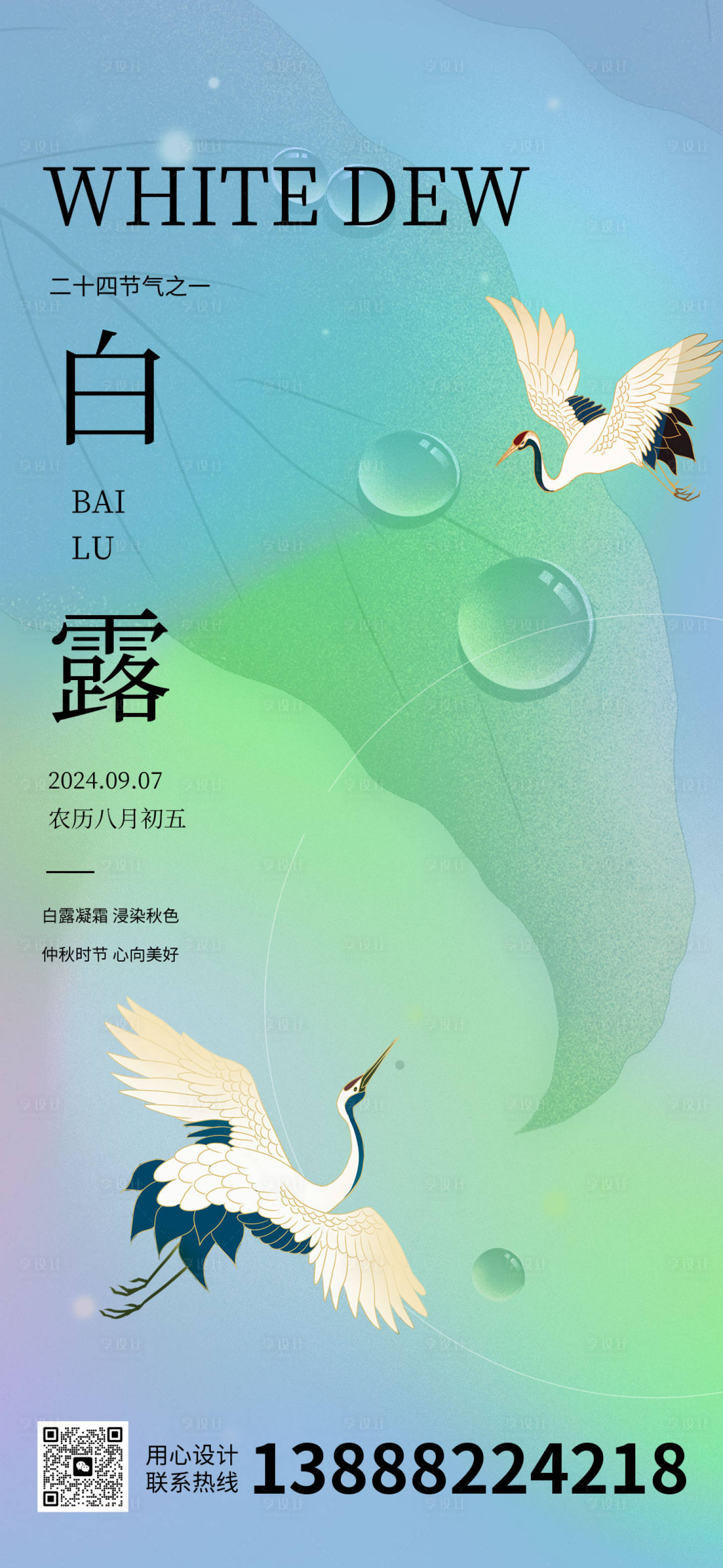 源文件下载【白露海报】编号：92400026067396226
