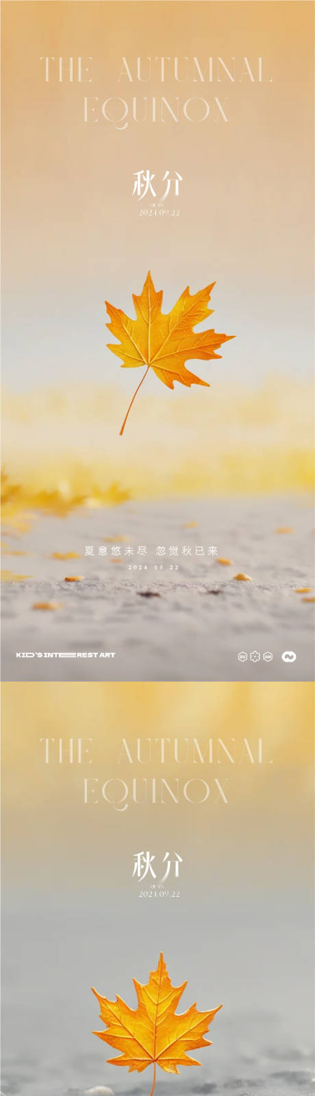 秋分节气梧桐叶海报