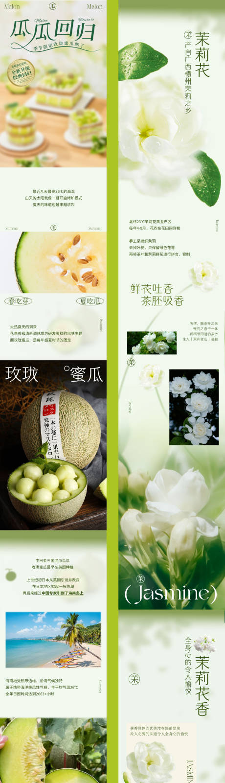 源文件下载【茉莉玫珑蜜瓜长图】编号：57320026319277613