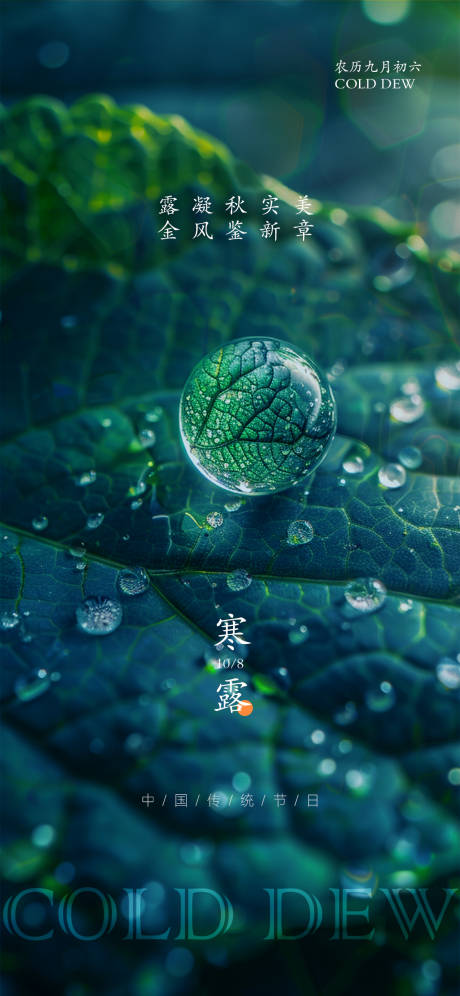 源文件下載【寒露節氣海報】編號：80280026506745098