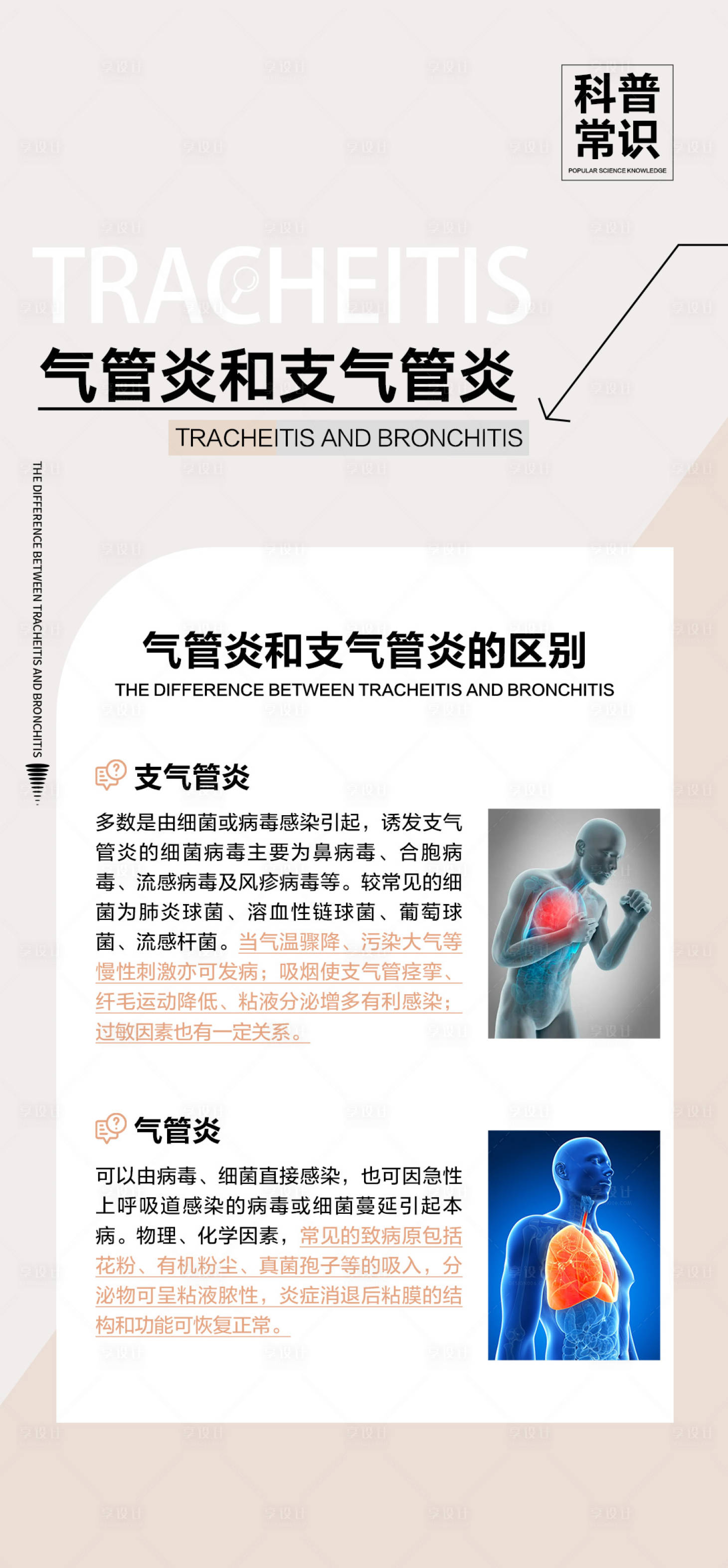 源文件下載【享設計】搜索編號：67130026530271907【氣管炎常識海報】