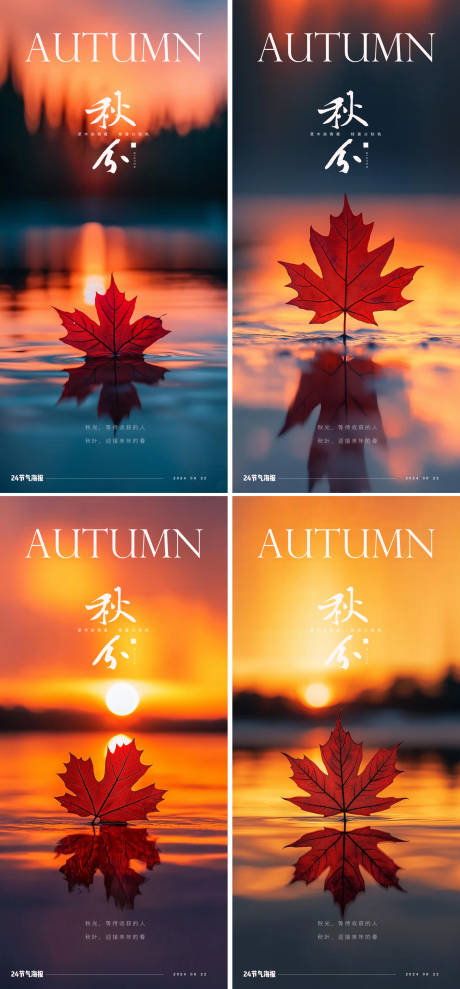 秋分节气梧桐叶海报