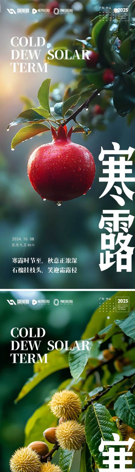源文件下载【享设计】搜索编号：57970026538801298【寒露】