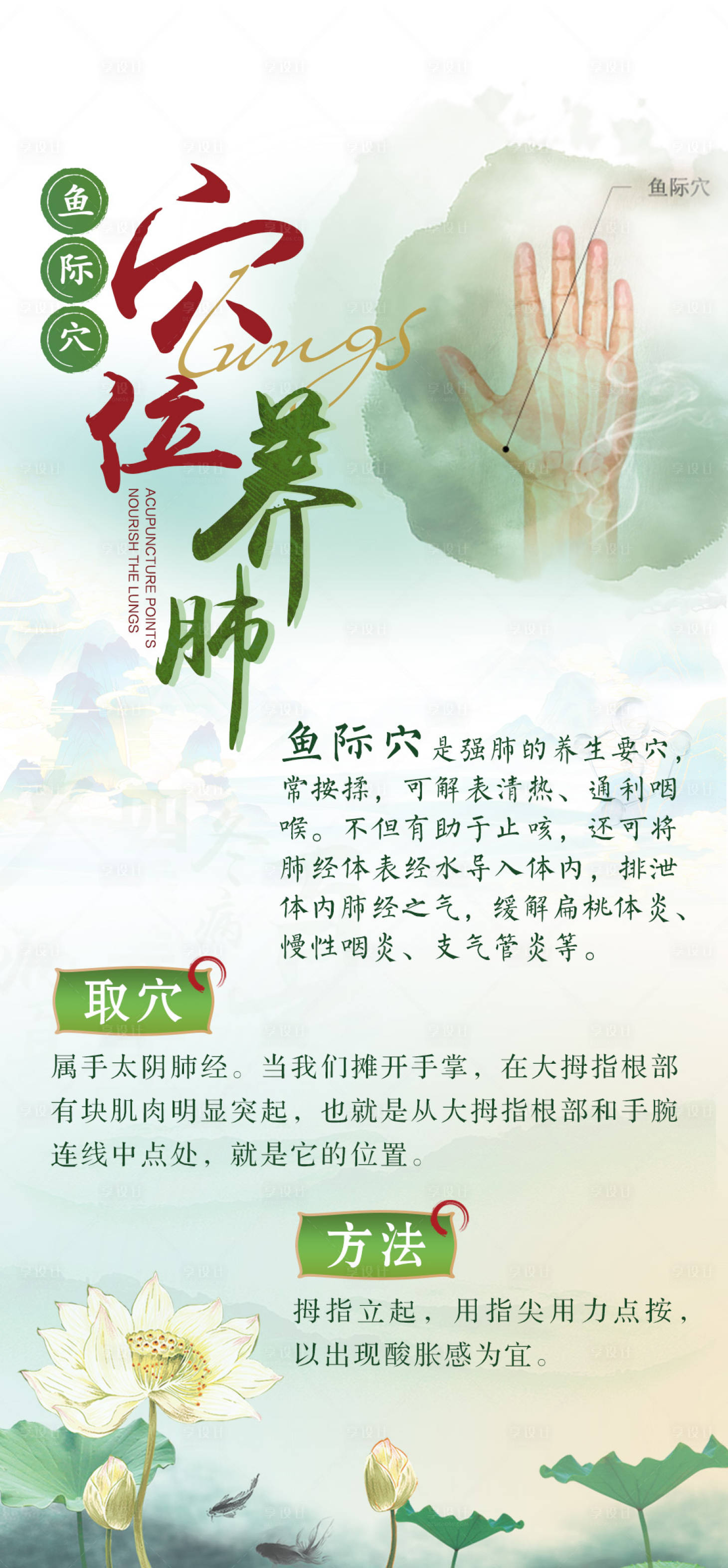 源文件下载【享设计】搜索编号：42260026127878720【中医养生养肺海报】