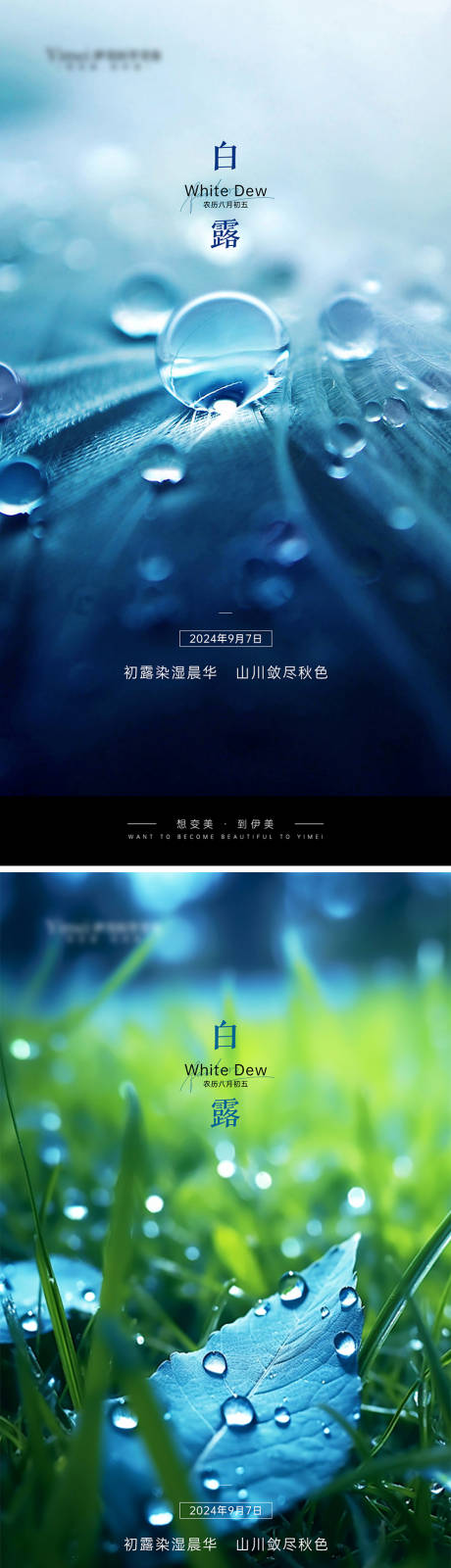 源文件下載【享設(shè)計(jì)】搜索編號(hào)：27820026136934860【白露節(jié)氣海報(bào)】