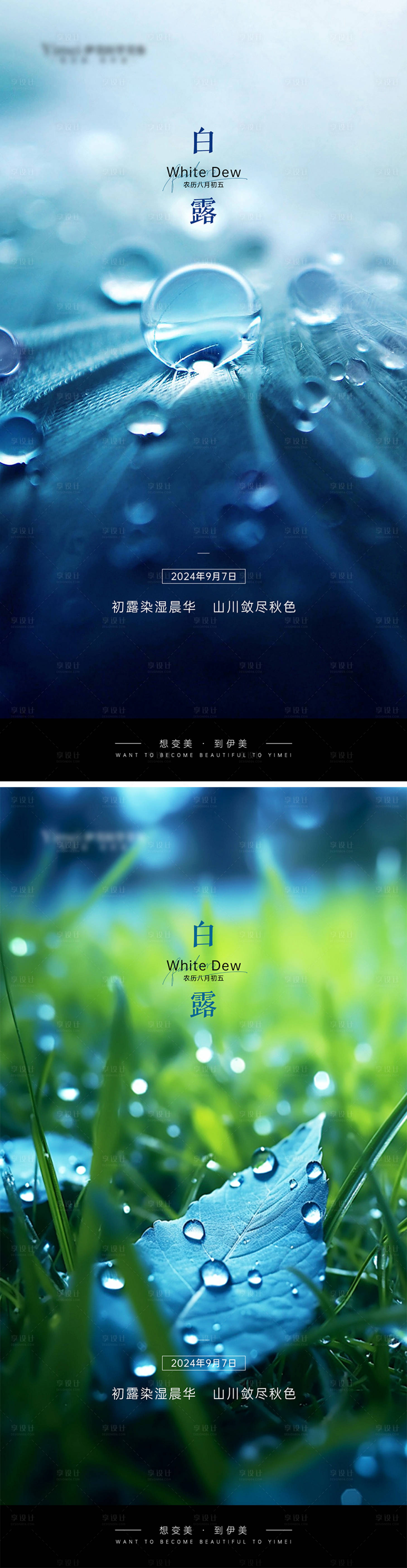 源文件下載【享設(shè)計(jì)】搜索編號(hào)：27820026136934860【白露節(jié)氣海報(bào)】