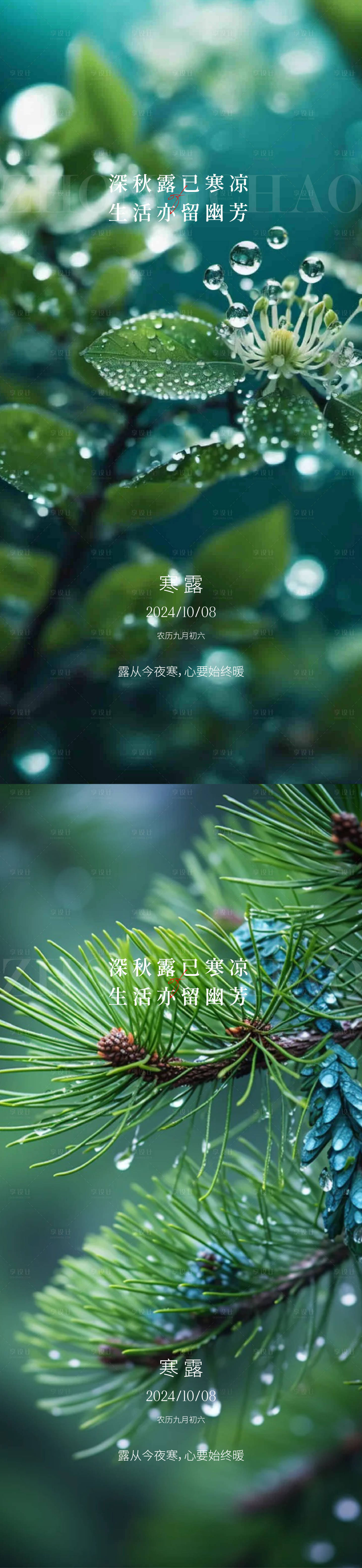 源文件下載【享設計】搜索編號：60640026410345129【寒露節氣系列海報】