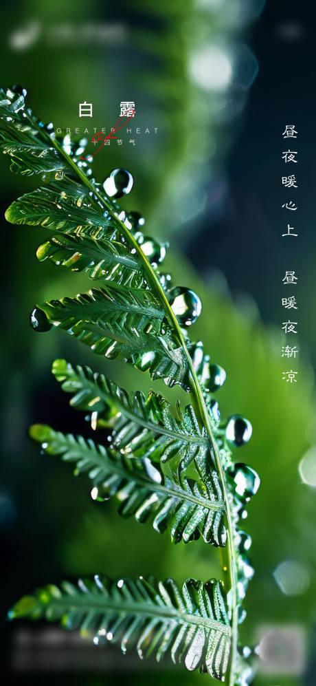 源文件下載【享設計】搜索編號：49340026369918487【白露節氣】