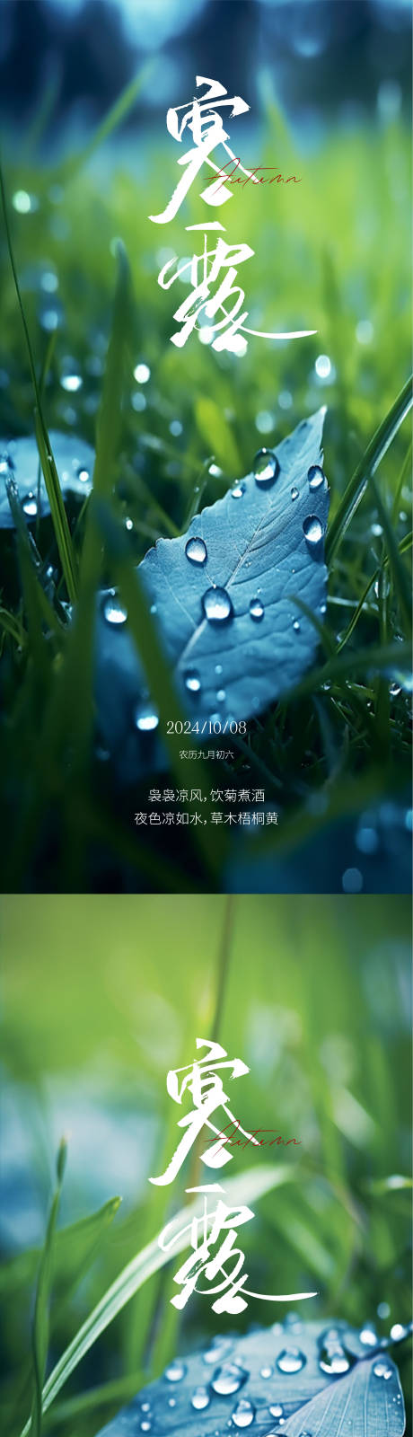 源文件下载【寒露白露雨水霜降小寒大寒】编号：48110026413351008