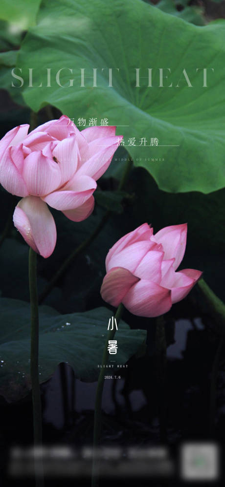 源文件下载【享设计】搜索编号：98960026370623155【小暑】