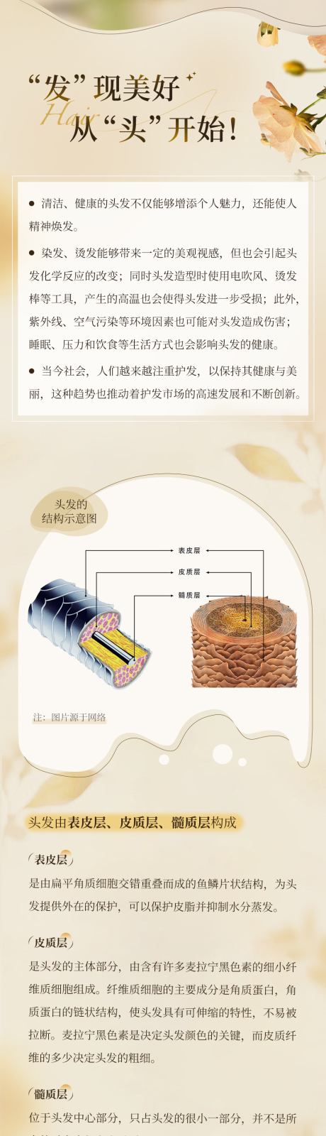 源文件下载【简约护发宣传长图】编号：59450026360108920