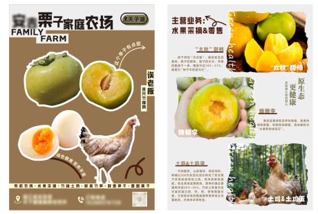 源文件下载【农场宣传单页】编号：63940026185634393