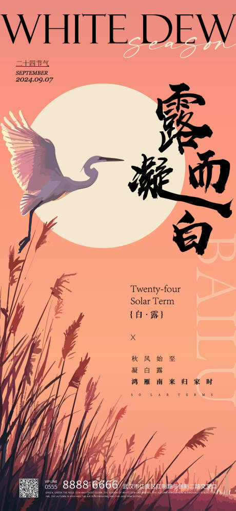 源文件下载【白露海报】编号：50440026037673977