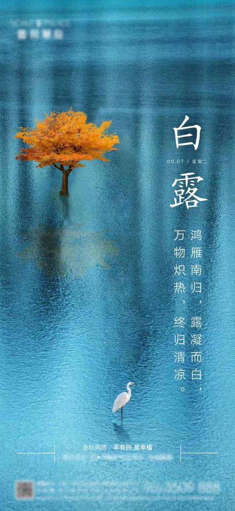源文件下载【地产白露海报】编号：58420026057884546