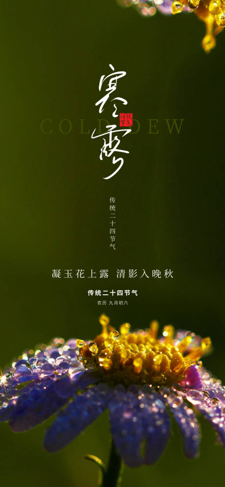 源文件下载【寒露深色二十四节气露水露珠花蕊海报】编号：36620026420256402