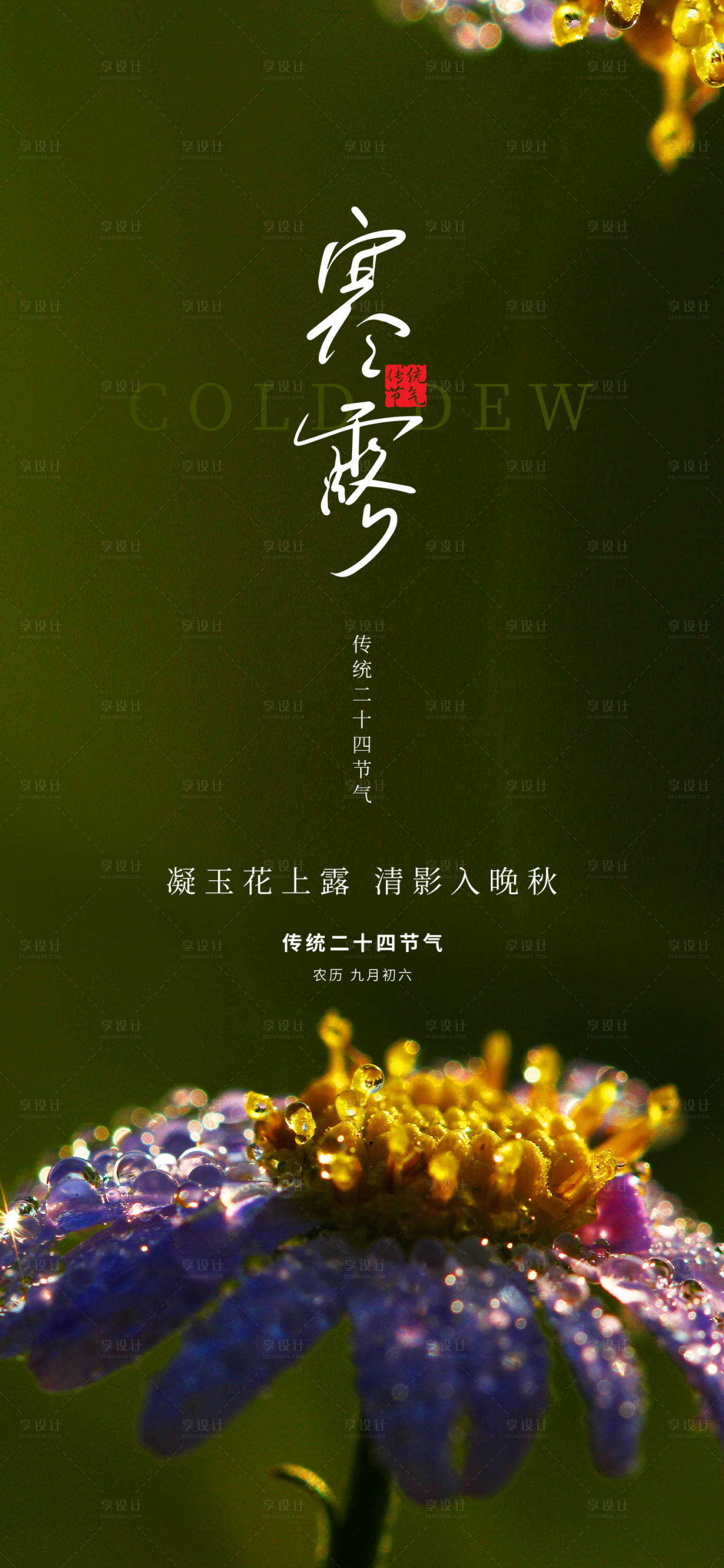 源文件下載【享設(shè)計(jì)】搜索編號(hào)：36620026420256402【寒露深色二十四節(jié)氣露水露珠花蕊海報(bào)】