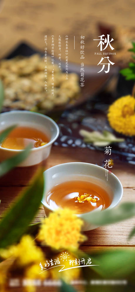 源文件下载【菊花茶海报】编号：89390026301013642