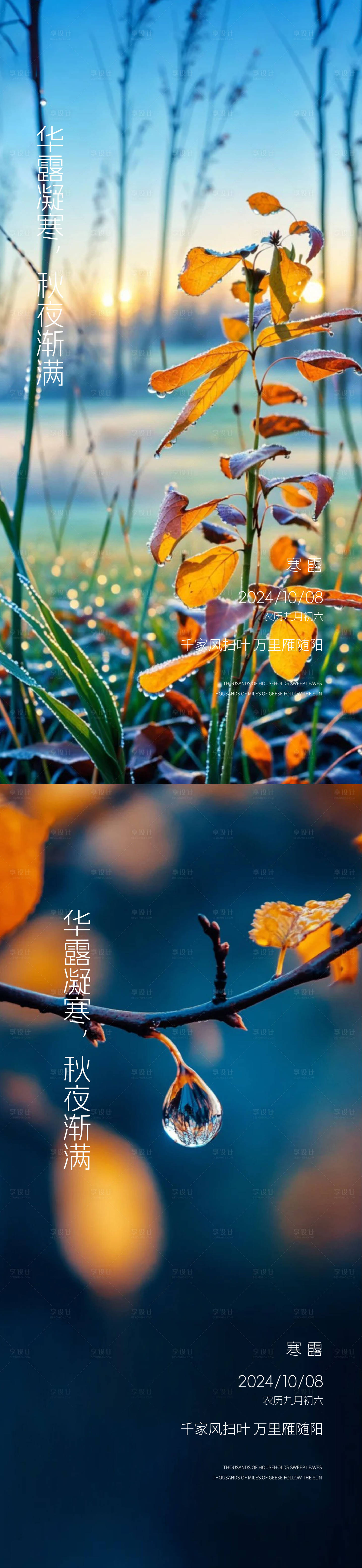 源文件下载【寒露白露雨水霜降小寒大寒】编号：65150026413486554