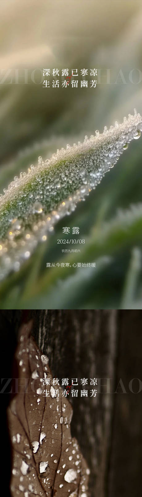 源文件下载【寒露白露雨水霜降小寒大寒】编号：18690026413475939