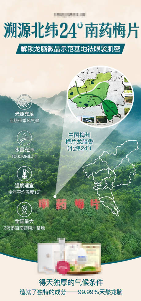 背书种植梅片基地宣传海报