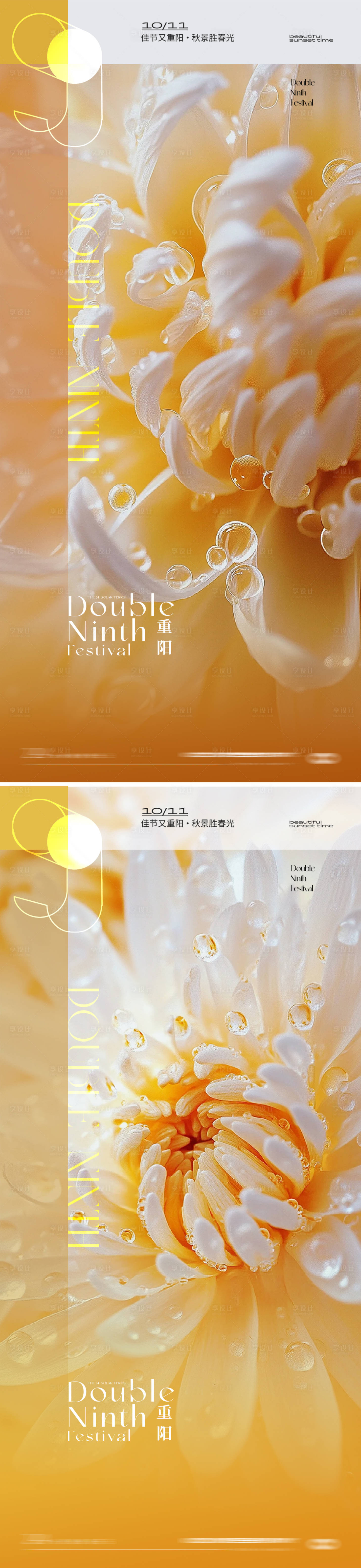 源文件下載【享設計】搜索編號：35830026545351567【重陽節菊花風景海報】