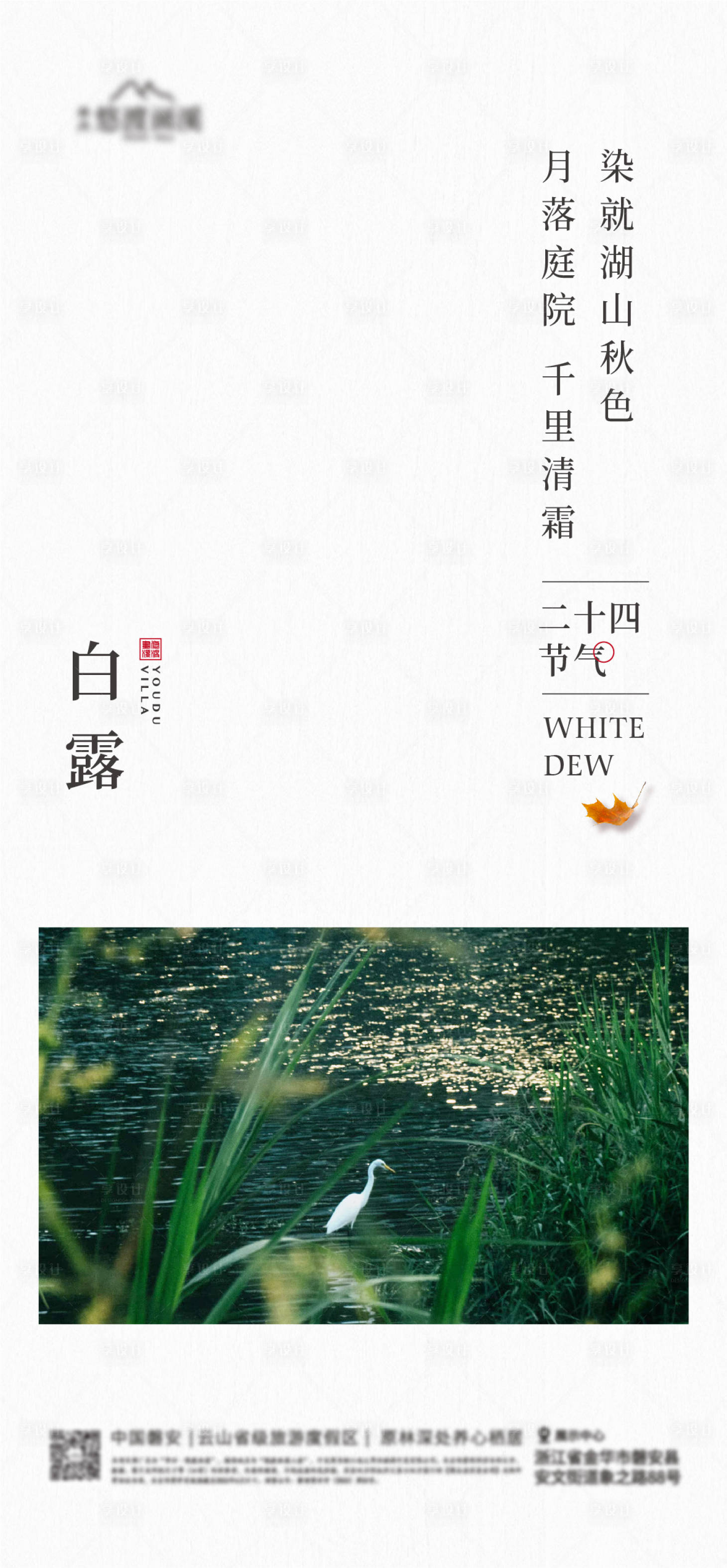 源文件下載【享設計】搜索編號：27760026078473128【白露節氣海報】