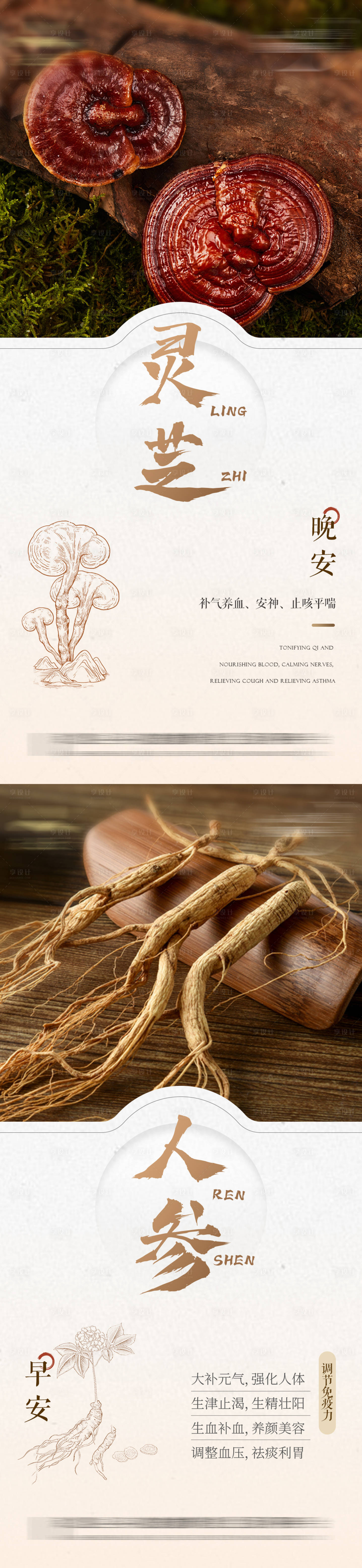 源文件下載【享設計】搜索編號：38870026113623563【人參靈芝養生】