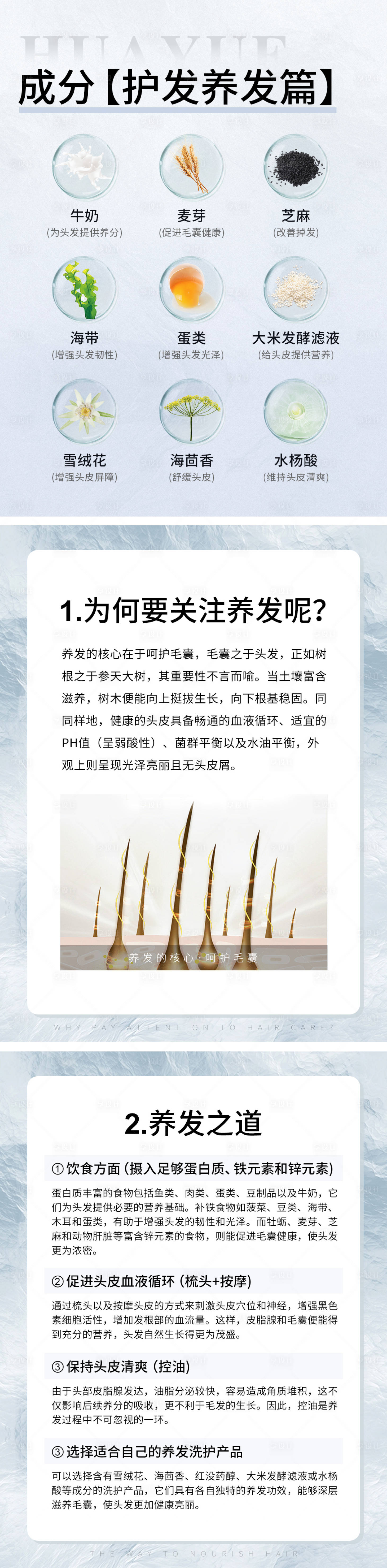 源文件下载【简约小知识科普系列海报】编号：13700026498087759