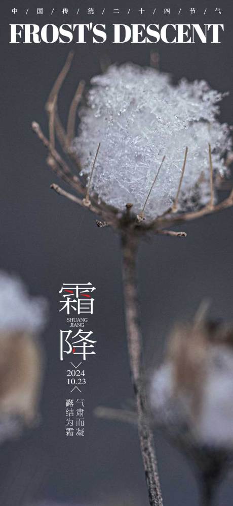霜降节气海报