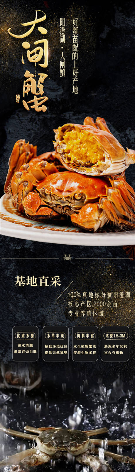源文件下載【享設計】搜索編號：70480026891288252【電商詳情頁 】