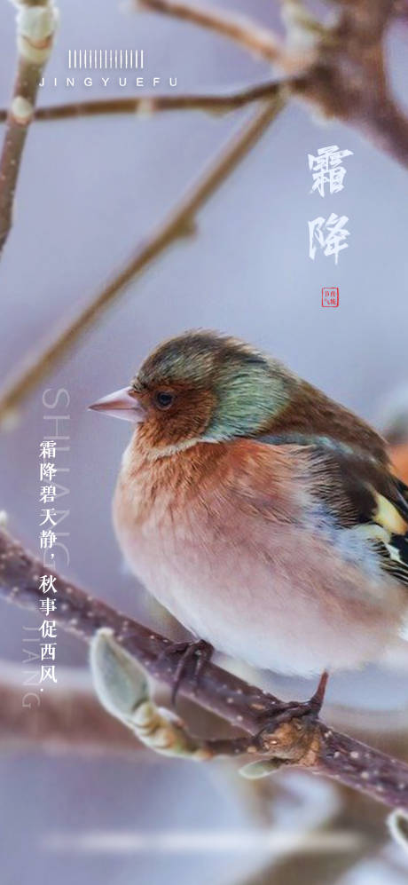 源文件下載【霜降節氣海報】編號：44580026670997856