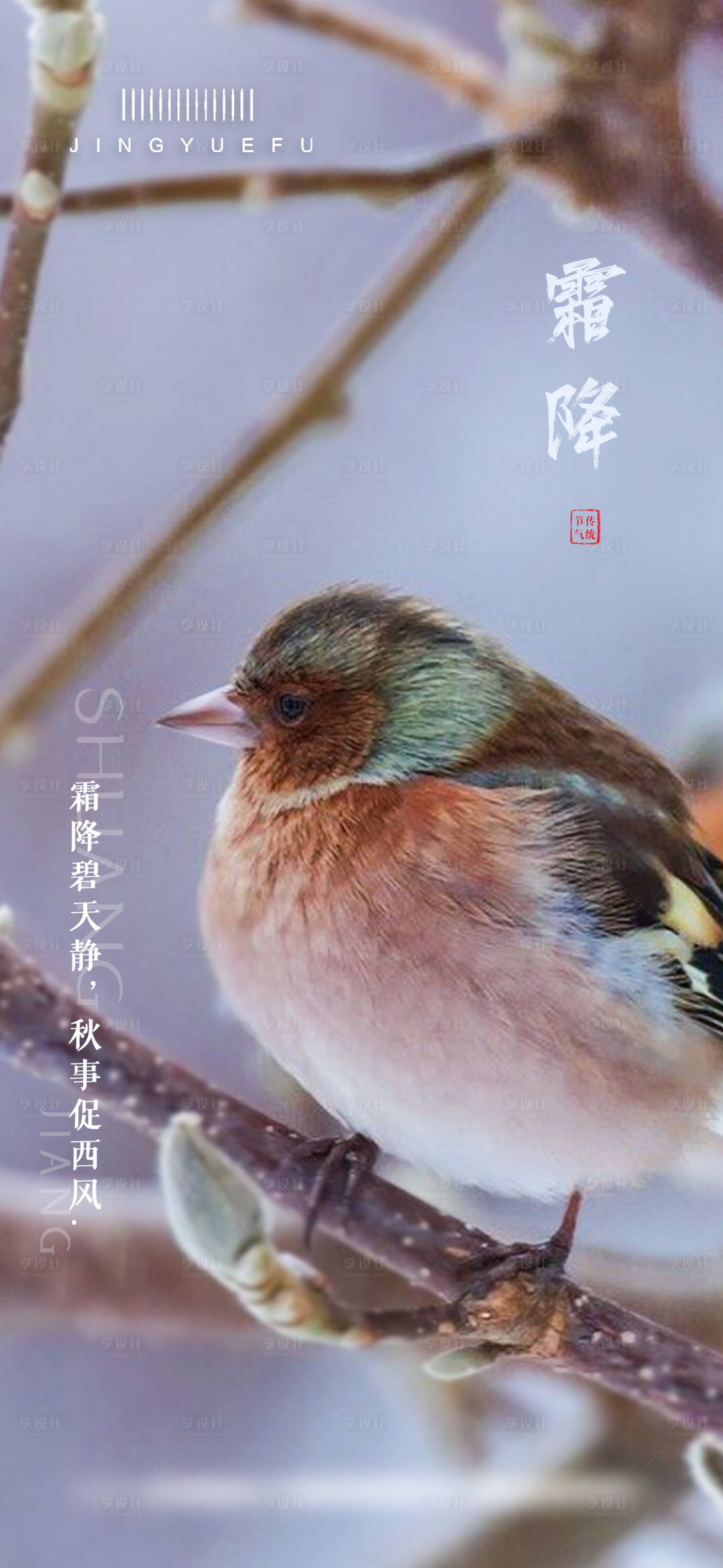 源文件下载【霜降节气海报】编号：44580026670997856