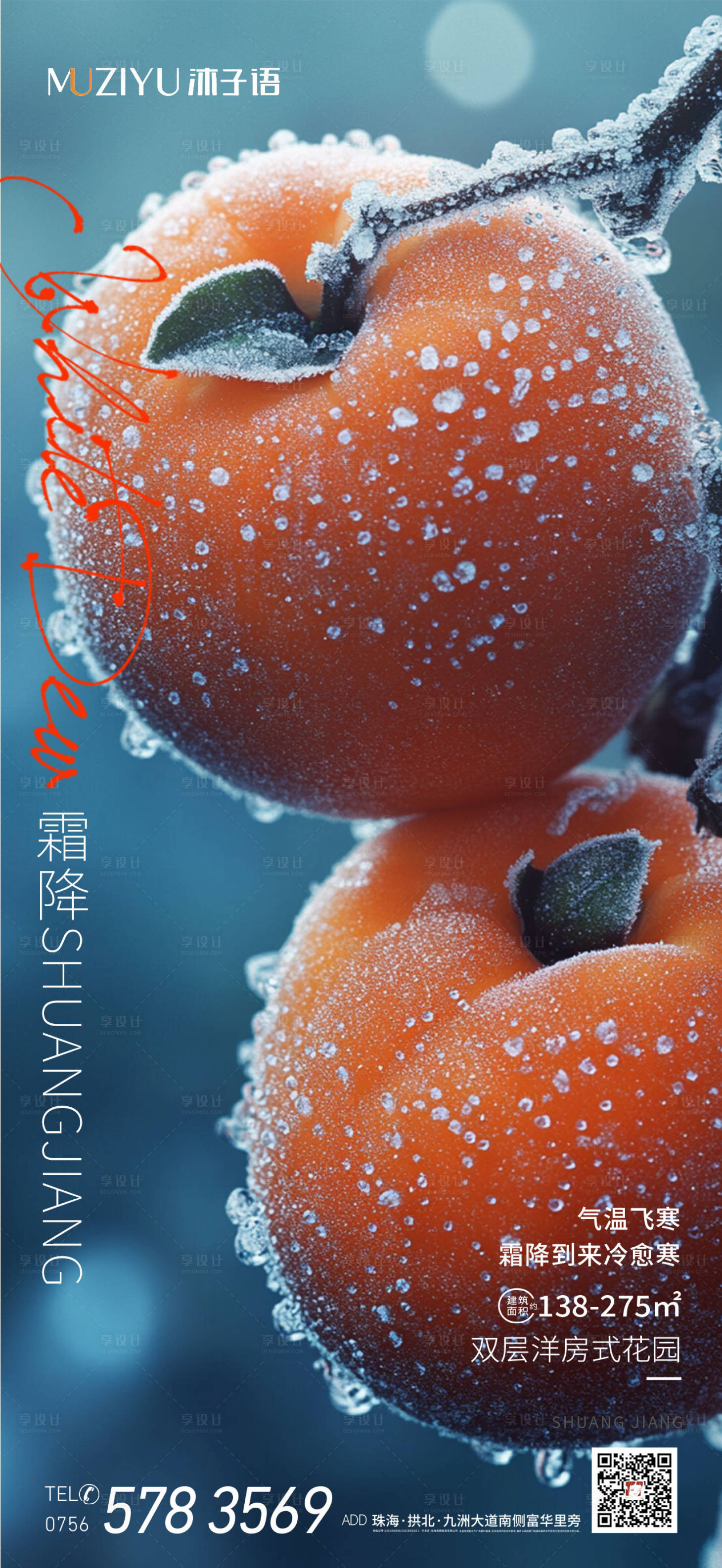 源文件下载【享设计】搜索编号：46550026718473707【柿子霜降海报】