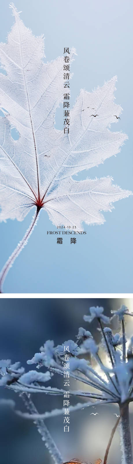 源文件下载【霜降节气海报】编号：87980026753954354