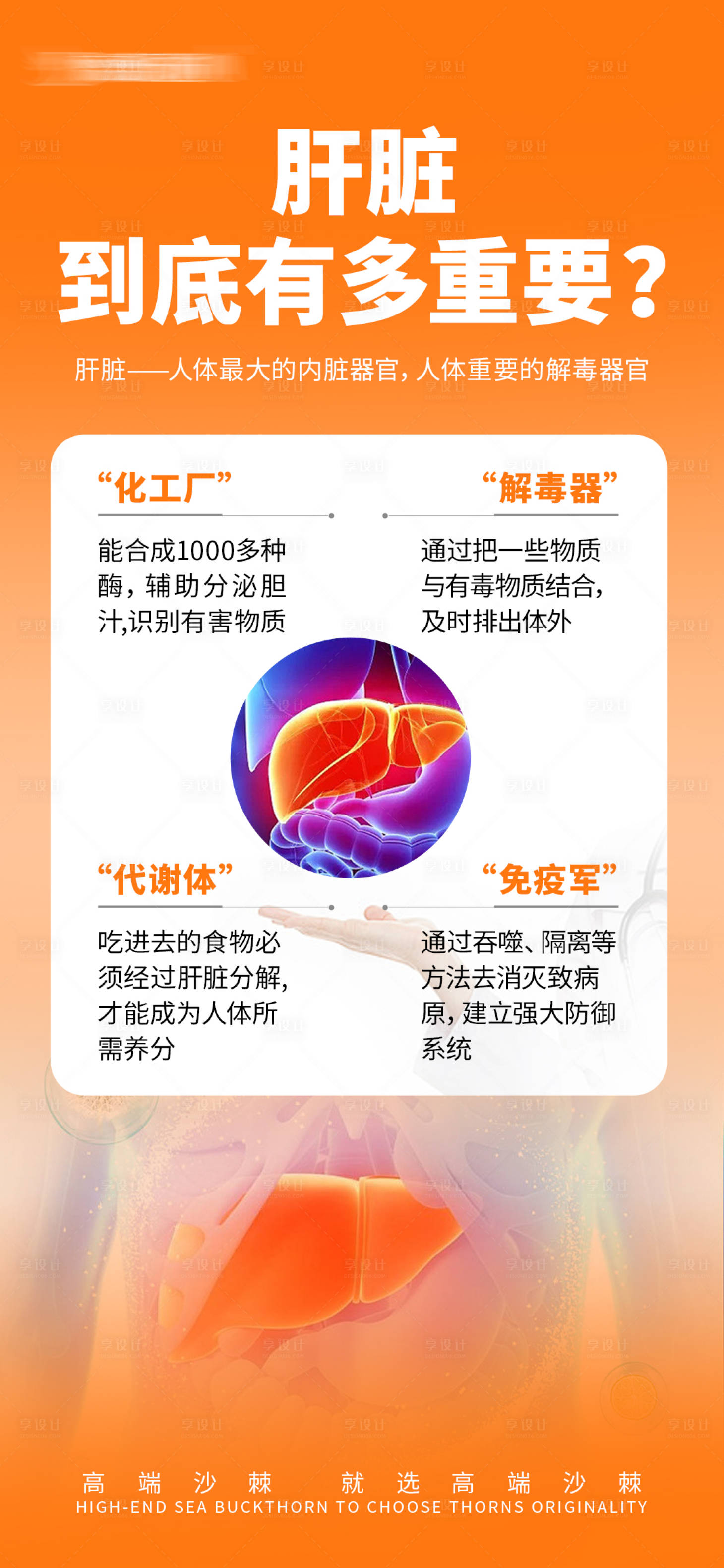 源文件下載【享設計】搜索編號：15890026890692015【健康養生知識海報】